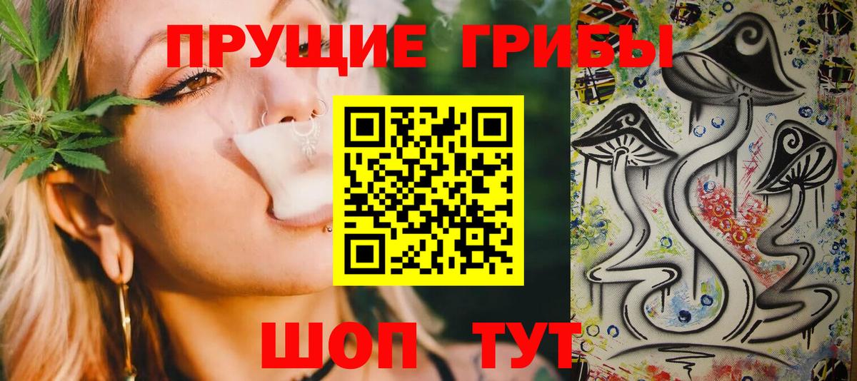 Псилоцибиновые грибы Cubensis Подольск