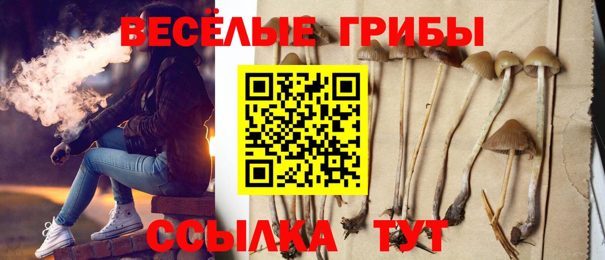 Подольск  Галлюциногенные грибы ЛСД  Вход с VPN 